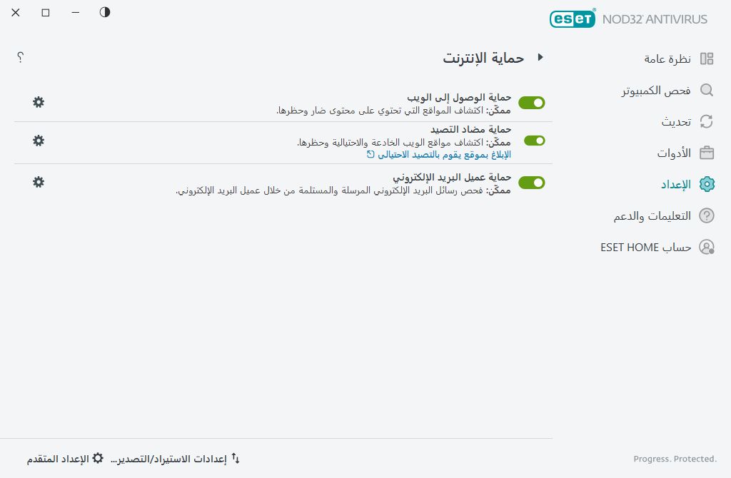 حماية الإنترنت
