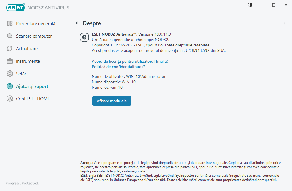 Detalii despre versiunea instalată