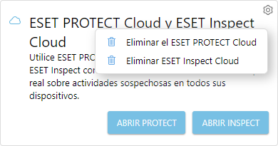 eba_eset_inspect_delete