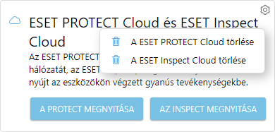 eba_eset_inspect_delete