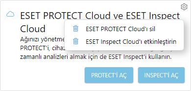 eba_eset_inspect_delete