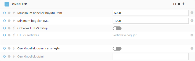 policy_settings_cache