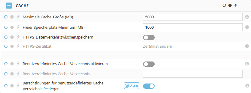 Policy-Einstellungen für den ESET Bridge Cache Policy-Einstellungen für den ESET Bridge Cache