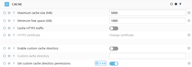 ESET Bridge Cache policy settings