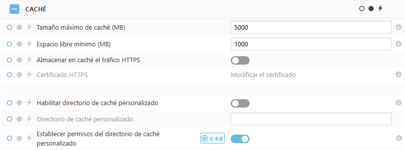 Configuraciones de la política del caché de ESET Bridge