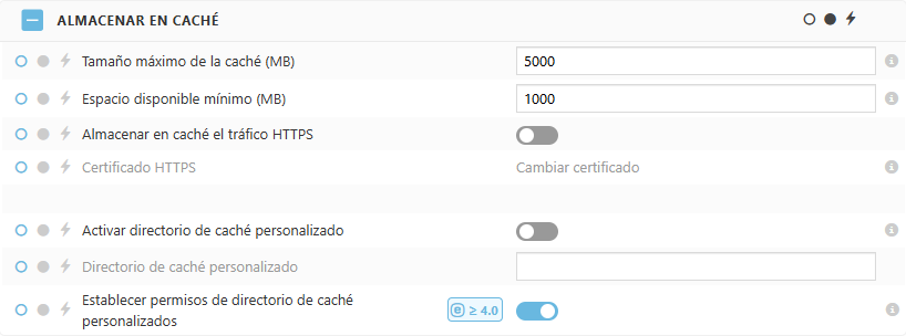 Configuración de la política de caché de ESET Bridge Configuración de la política de caché de ESET Bridge