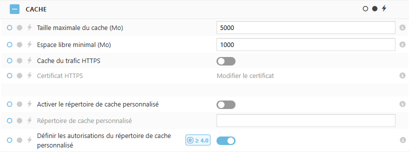 Paramètres de politique de cache ESET Bridge