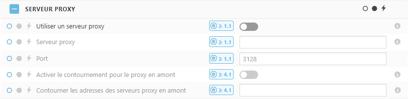 Paramètres de politique du serveur proxy ESET Bridge