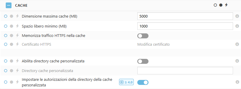 Impostazioni del criterio della cache di ESET Bridge Impostazioni del criterio della cache di ESET Bridge