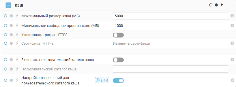 Настройки политики кэша ESET Bridge