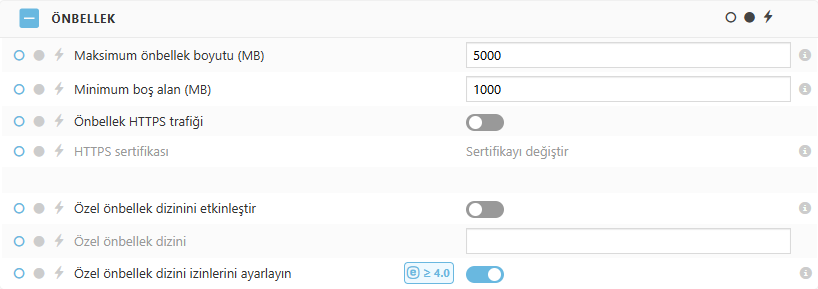 ESET Bridge Önbellek ilke ayarları