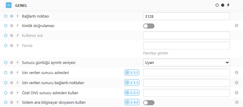 ESET Bridge Genel ilke ayarları