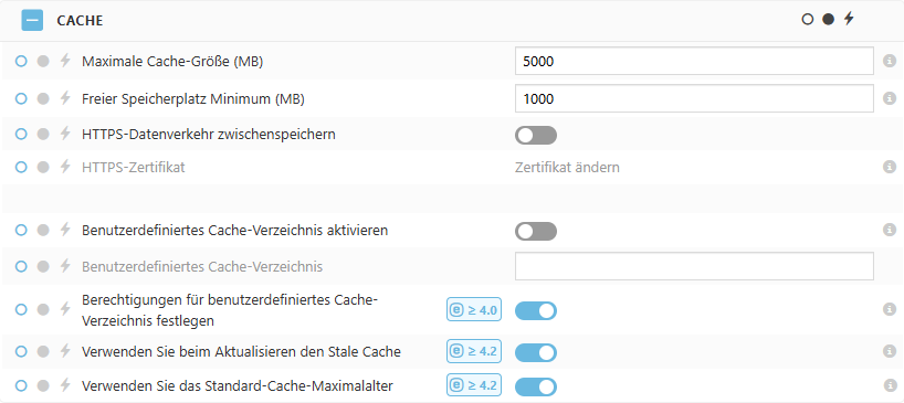 Policy-Einstellungen für den ESET Bridge Cache Policy-Einstellungen für den ESET Bridge Cache
