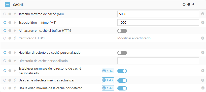 Configuraciones de la política del caché de ESET Bridge