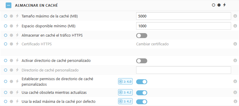 Configuración de la política de caché de ESET Bridge Configuración de la política de caché de ESET Bridge