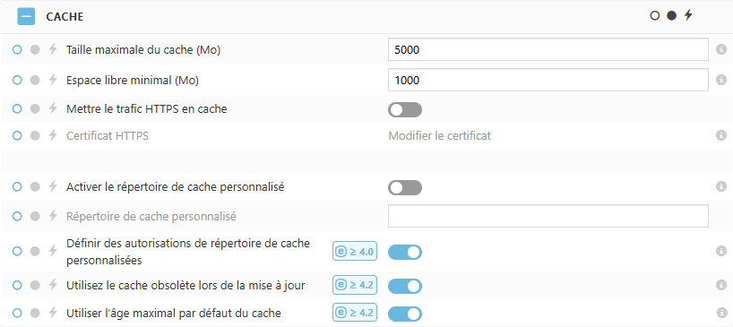 Paramètres de la politique de cache ESET Bridge