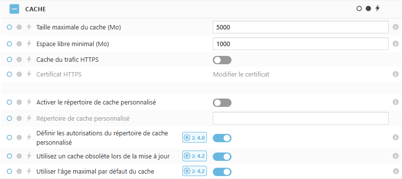 Paramètres de politique de cache ESET Bridge
