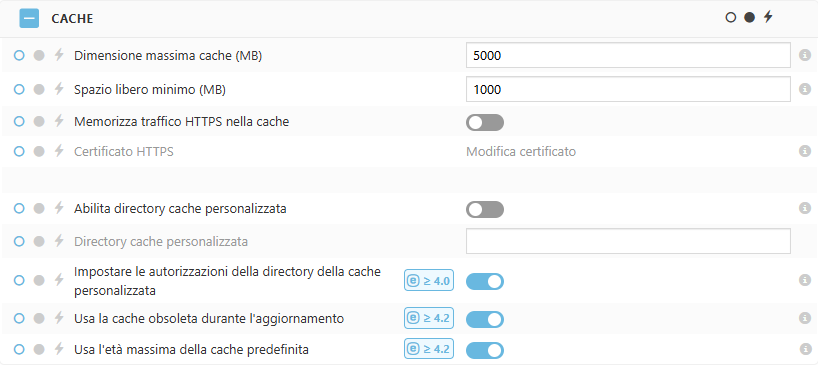 Impostazioni del criterio della cache di ESET Bridge Impostazioni del criterio della cache di ESET Bridge