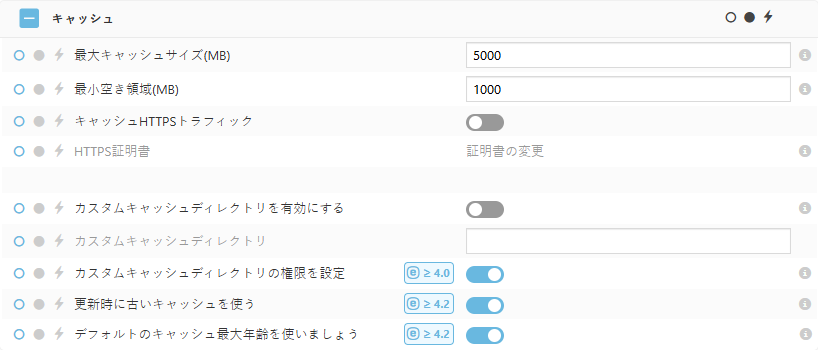 ESET Bridgeキャッシュポリシー設定 ESET Bridgeキャッシュポリシー設定