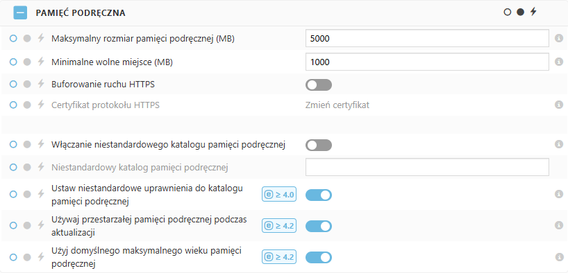 Ustawienia polityki pamięci podręcznej ESET Bridge Ustawienia polityki pamięci podręcznej ESET Bridge
