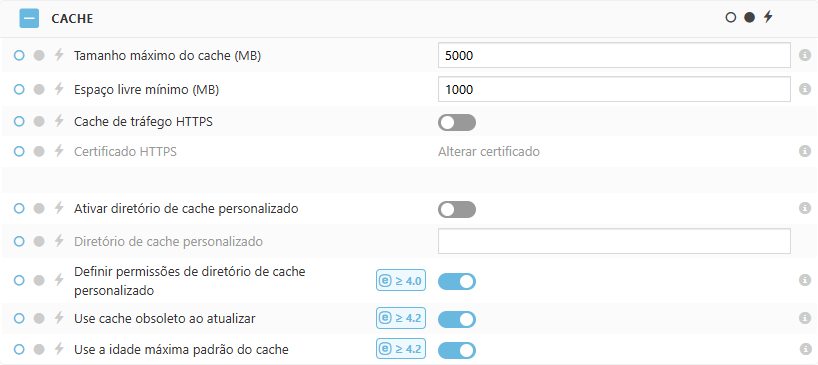 Configurações de política do cache ESET Bridge Configurações de política do cache ESET Bridge