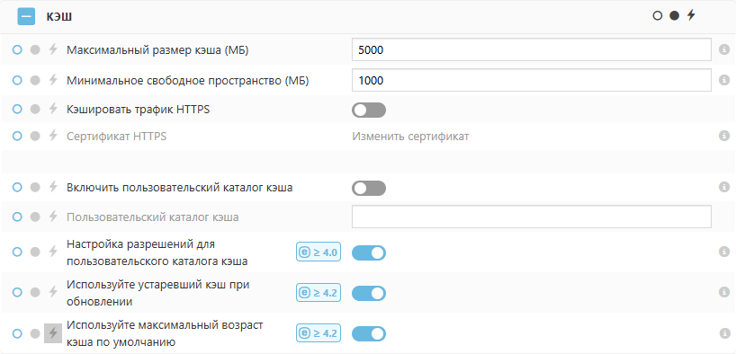 Настройки политики кэша ESET Bridge Настройки политики кэша ESET Bridge