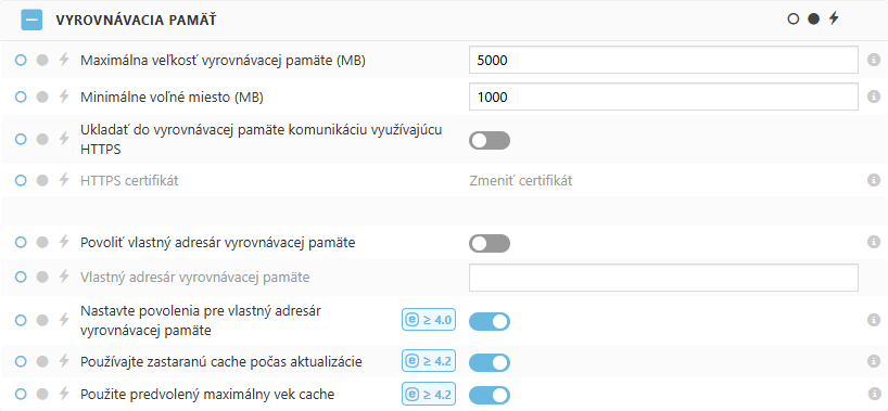 Nastavenia vyrovnávacej pamäte v&nbsp;rámci politiky pre ESET Bridge