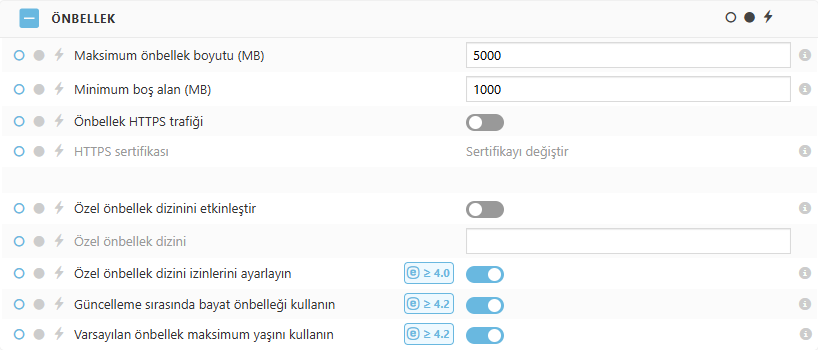 ESET Bridge Önbellek ilke ayarları