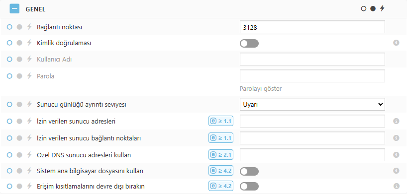 ESET Bridge Genel ilke ayarları