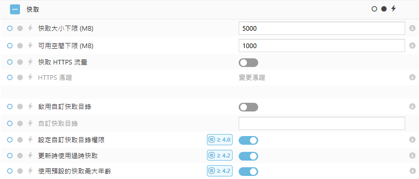 ESET Bridge 快取原則設定