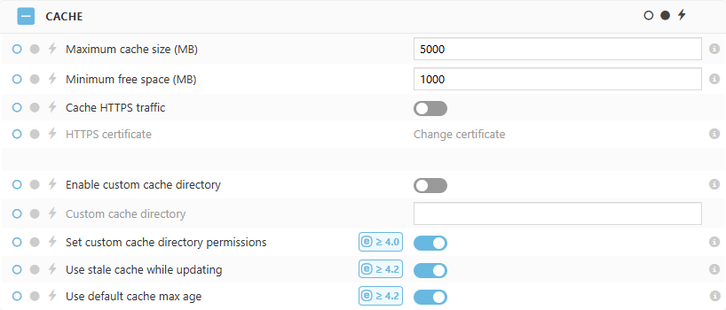 ESET Bridge Cache policy settings ESET Bridge Cache policy settings