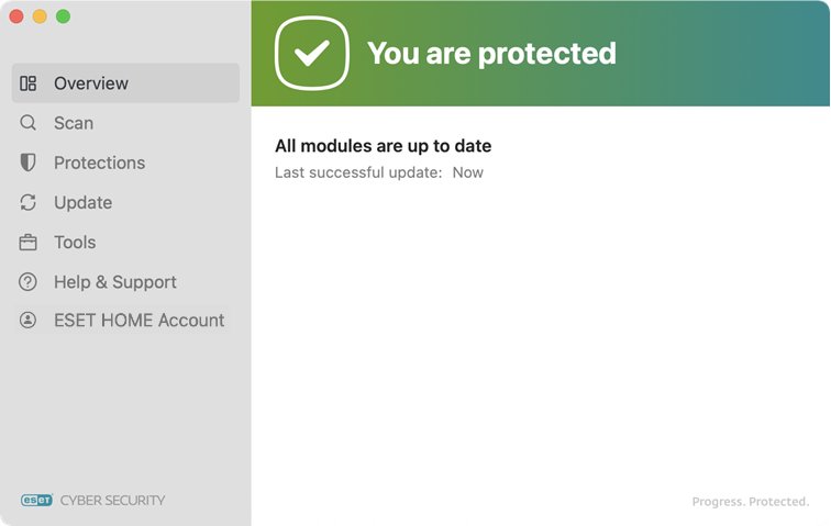 ESET Cyber Security protection status