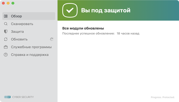 ESET Cyber Security состояние защиты