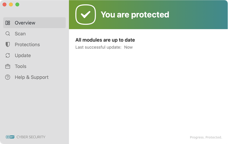 ESET Cyber Security protection status
