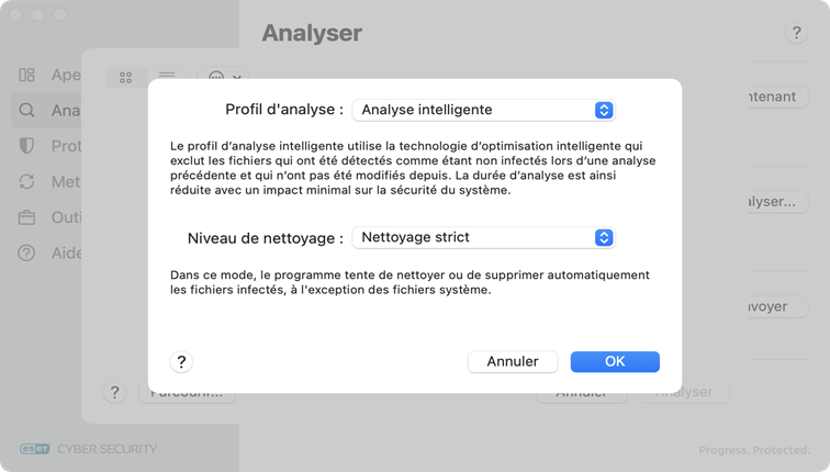 Profil d'analyse ESET Cyber Security