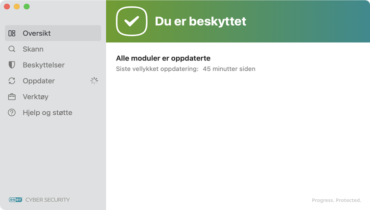 ESET Cyber Security beskyttelsesstatus