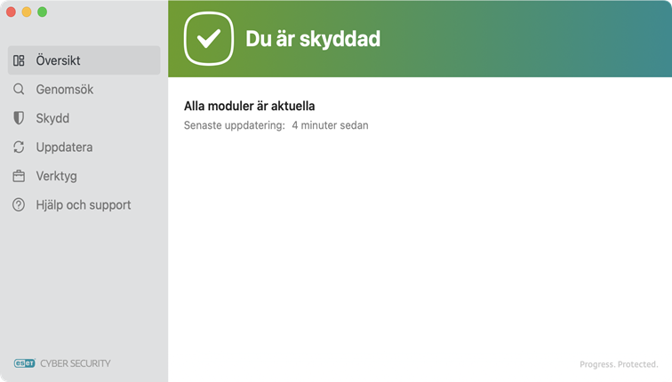 ESET Cyber Security skyddsstatus