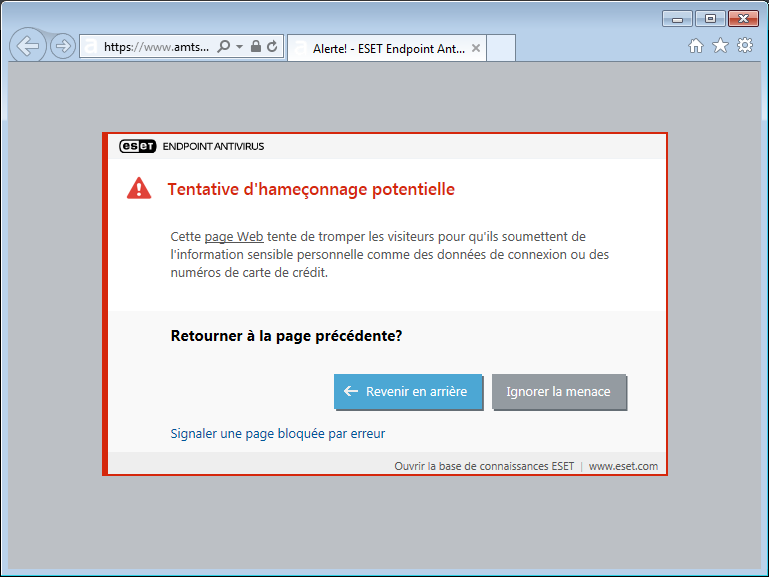 WEB_PHISHING