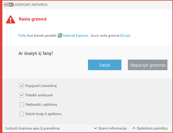 Įspėjimo langas – aptikta grėsmė