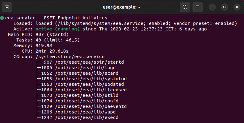 Muestra de salida de systemctl status eea.service Muestra de salida de systemctl status eea.service