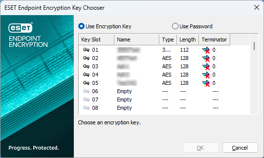 EEE_key_chooser_encryption_key