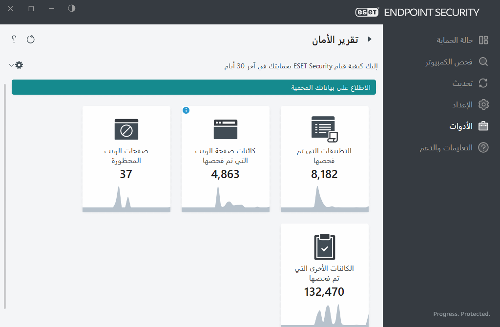 PAGE_SECURITY_REPORT