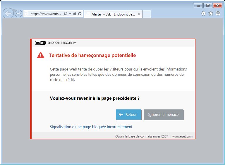 WEB_PHISHING