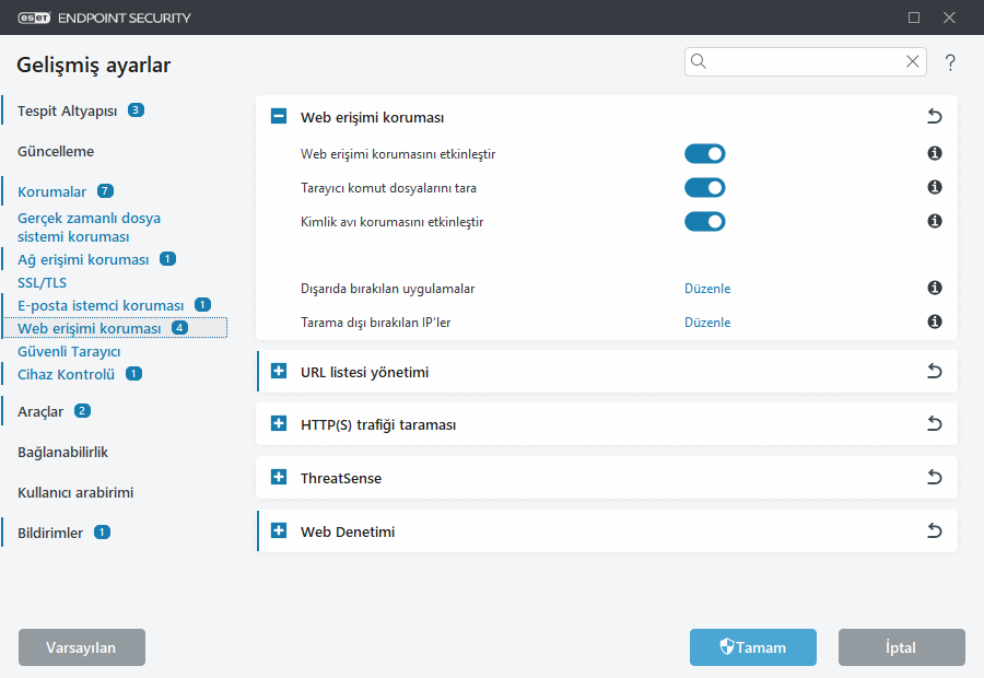 CONFIG_WEB_ACCESS