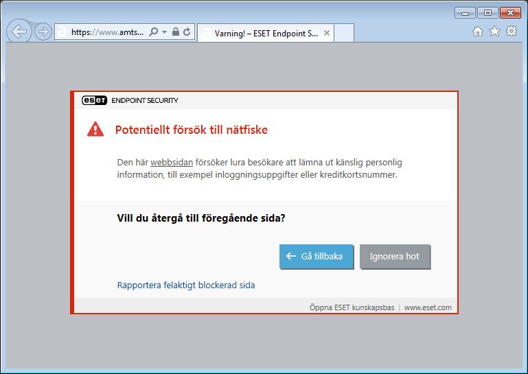 WEB_PHISHING