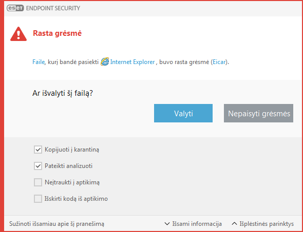 Įspėjimo langas – aptikta grėsmė