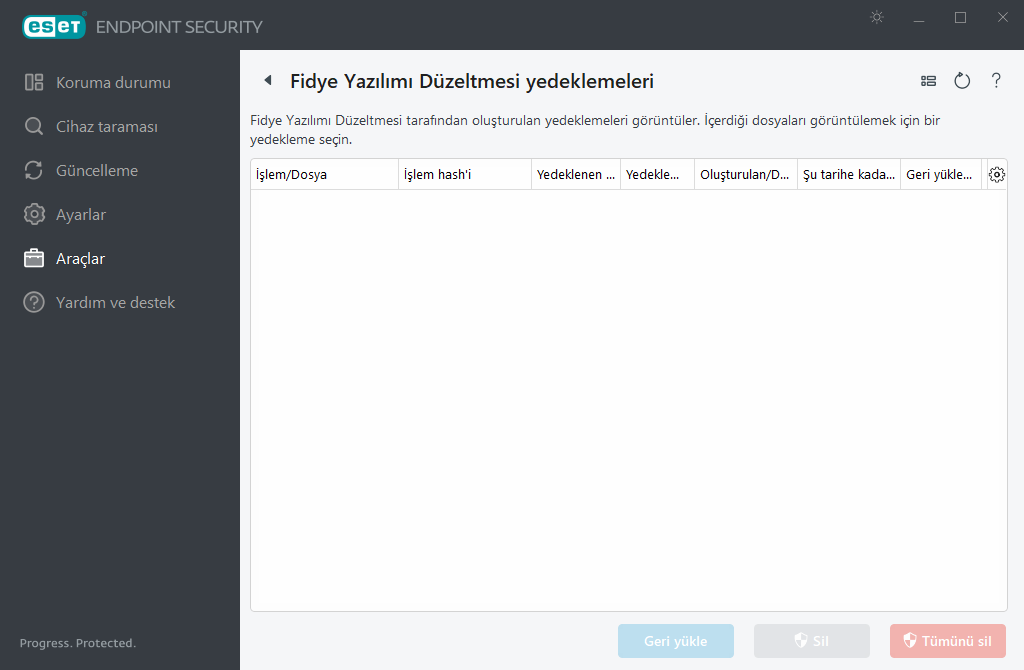Fidye Yazılımı Düzeltmesi yedekleme yönetimi Fidye Yazılımı Düzeltmesi yedekleme yönetimi