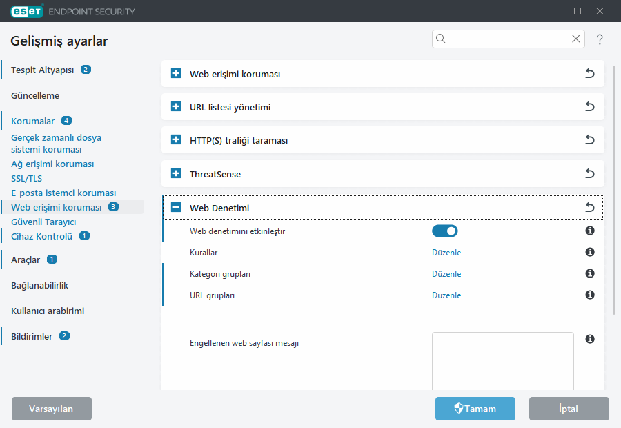 Web denetimi Gelişmiş ayarlar