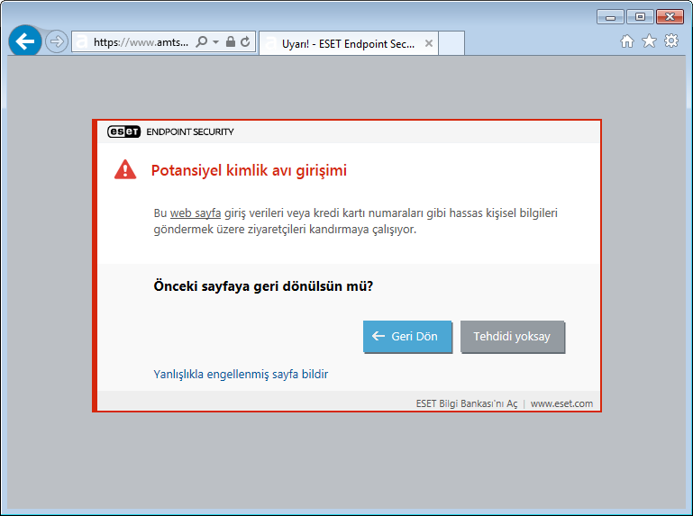 Potansiyel kimlik avı girişimi