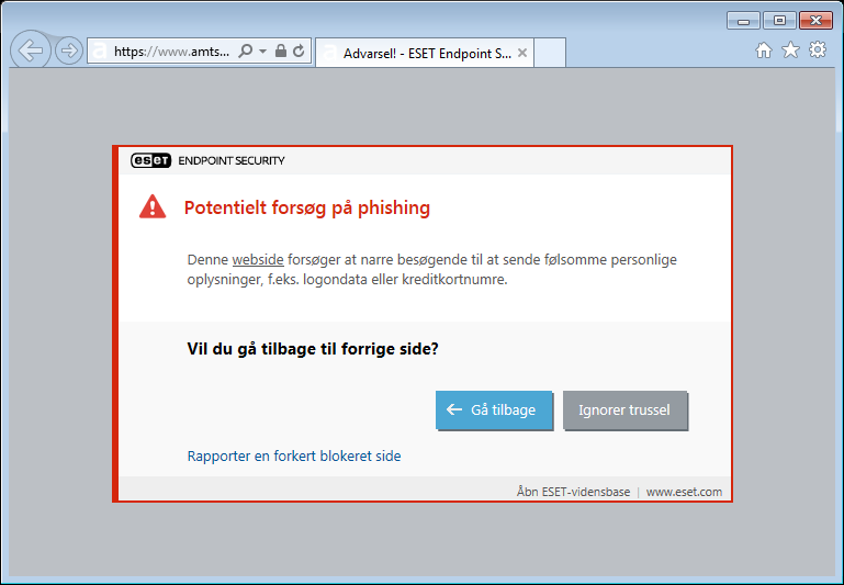 WEB_PHISHING